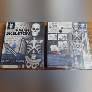 Make and decorate your own skeleton Plaster Cast - Craft